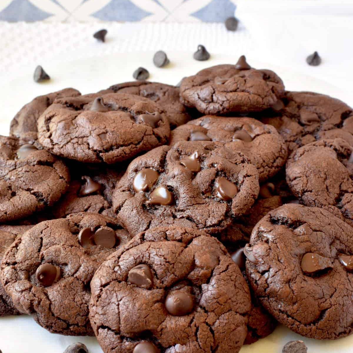 fudgy-chocolate-cookies-with-cocoa-powder-choc-chips